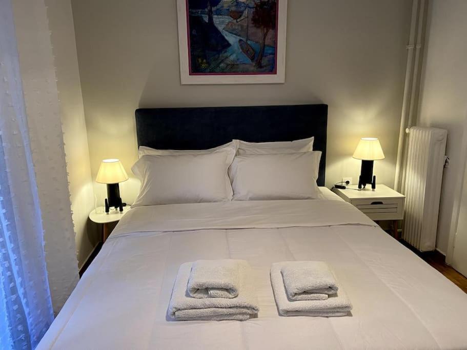 Apartment Cozy And Comfortable In Center Athen