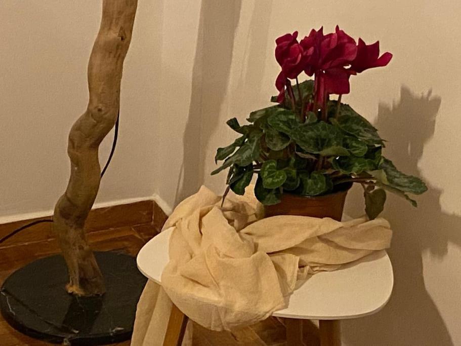 Apartment Cozy And Comfortable In Center Athen